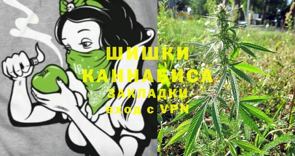 ешки Няндома