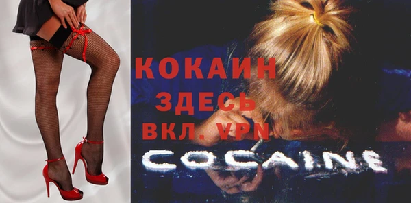 ешки Няндома