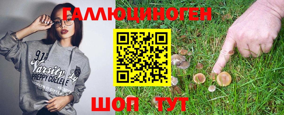 Галлюциногенные грибы GOLDEN TEACHER  Вход с VPN  Гурьевск 