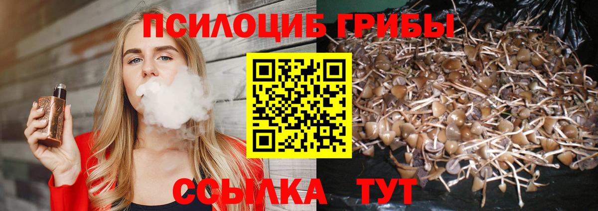 Галлюциногенные грибы прущие грибы Гурьевск